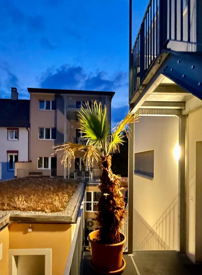 Good Night Apartments Binningen Экстерьер фото